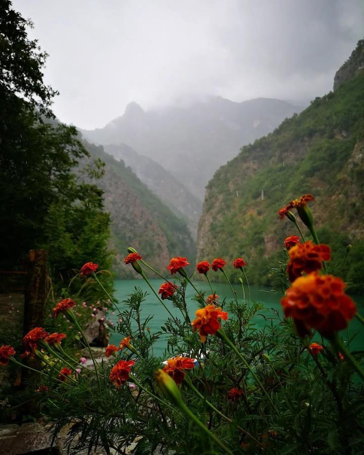 Riverside Komani Lake Exterior photo